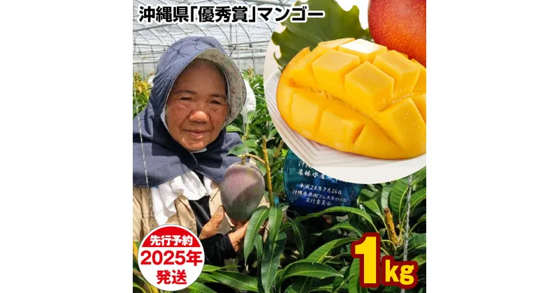 【ふるさと納税】【2025年発送】芳醇な香り　とろける食感　沖縄県「優秀賞」マンゴー1kg