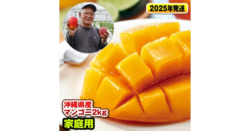 【ふるさと納税】【2025年発送】濃厚な甘さの沖縄県産マンゴー2kg（家庭用）