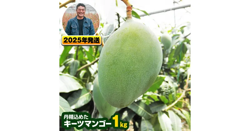 【ふるさと納税】【2025年発送】南風原農園　丹精込めた「キーツマンゴー」1kg