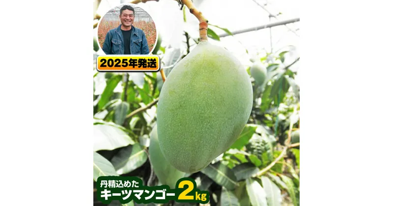 【ふるさと納税】【2025年発送】南風原農園　丹精込めた「キーツマンゴー」2kg