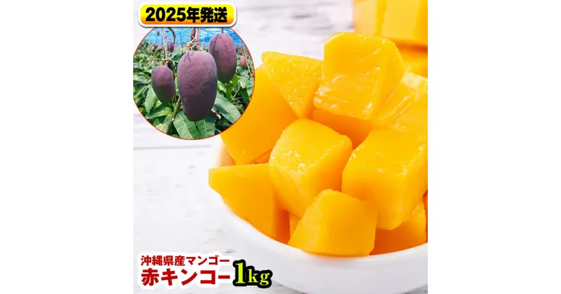 【ふるさと納税】【2025年発送】南国の果物　沖縄県産マンゴー　赤キンコー　1kg