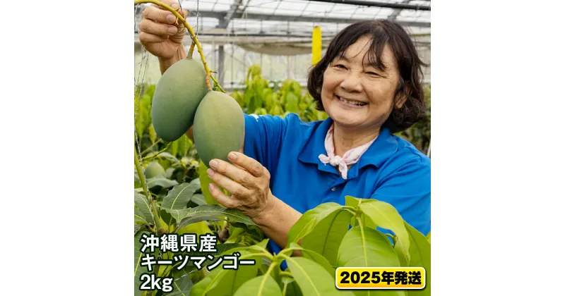 【ふるさと納税】【2025年発送】沖縄県産キーツマンゴー2kg