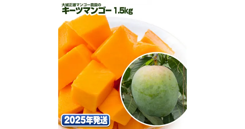 【ふるさと納税】【2025年発送】大城正雄マンゴー農園のキーツマンゴー1.5kg