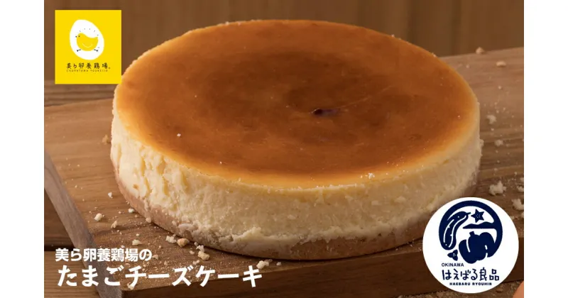 【ふるさと納税】美ら卵養鶏場のたまごチーズケーキ