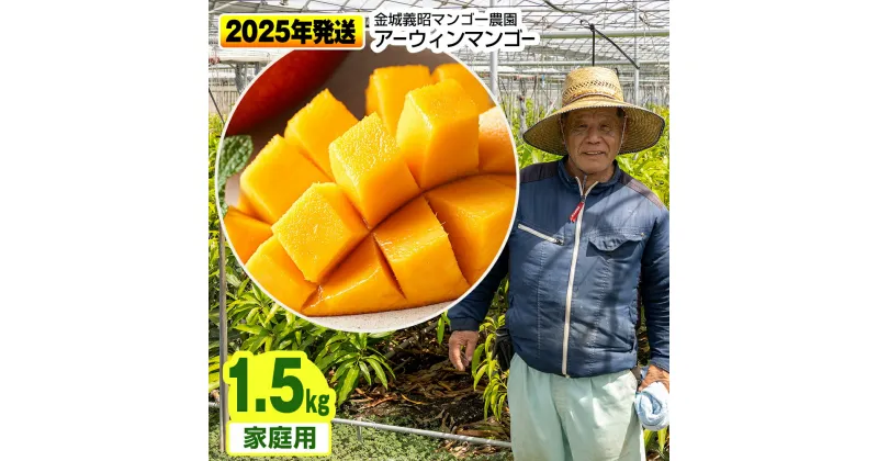 【ふるさと納税】【2025年発送】金城義昭マンゴー農園　アーウィンマンゴー家庭用1.5kg