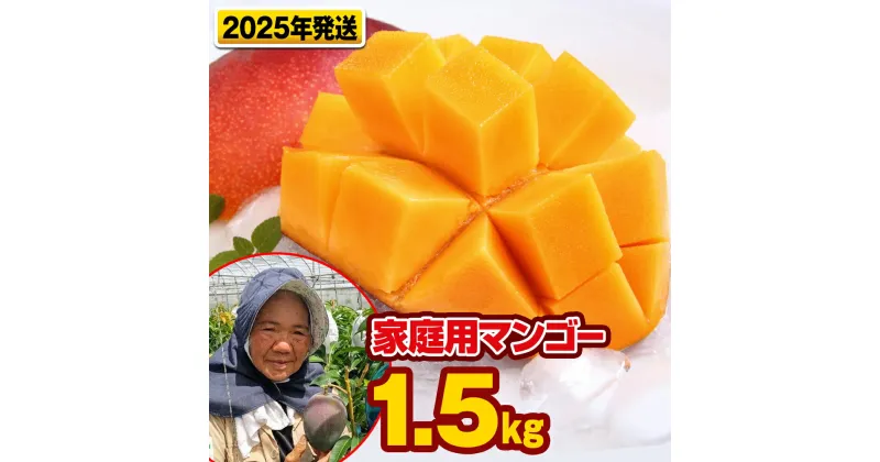 【ふるさと納税】【2025年発送】芳醇な香り　とろける食感　家庭用マンゴー1.5kg