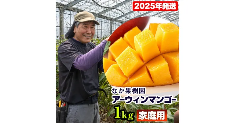 【ふるさと納税】【2025年発送】なか果樹園　家庭用　アーウィンマンゴー1kg