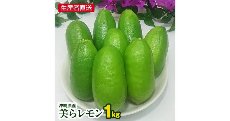 【ふるさと納税】生産者直送　沖縄県産美らレモン1kg　種なし