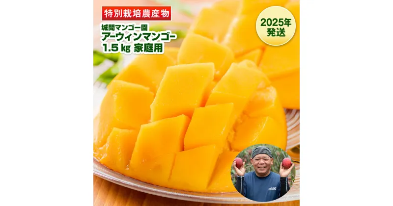 【ふるさと納税】【2025年発送】城間マンゴー園　家庭用　アーウィンマンゴー1.5kg　特別栽培農産物