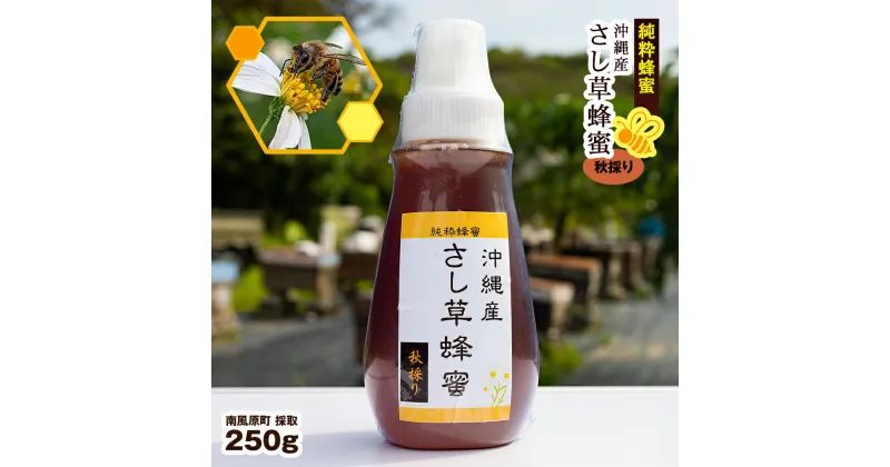 【ふるさと納税】純粋蜂蜜　沖縄産　さし草蜂蜜　秋採り　250g　南風原町採取