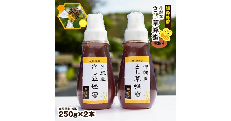 【ふるさと納税】純粋蜂蜜　沖縄産　さし草蜂蜜　秋採り　250g×2本　南風原町採取