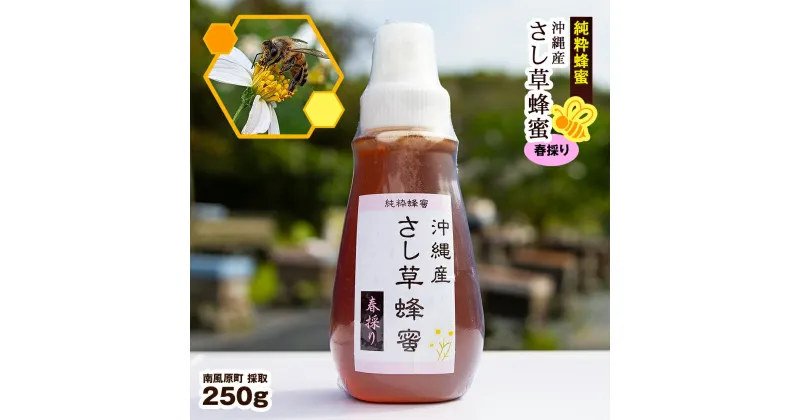 【ふるさと納税】純粋蜂蜜　沖縄産　さし草蜂蜜　春採り　250g　南風原町採取