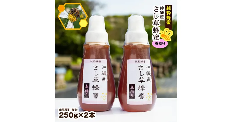 【ふるさと納税】純粋蜂蜜　沖縄産　さし草蜂蜜　春採り　250g×2本　南風原町採取