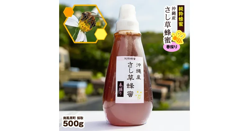 【ふるさと納税】純粋蜂蜜　沖縄産　さし草蜂蜜　春採り　500g　南風原町採取