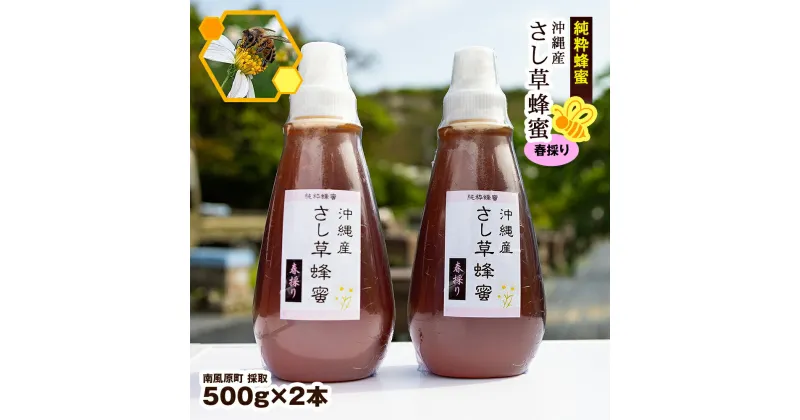 【ふるさと納税】純粋蜂蜜　沖縄産　さし草蜂蜜　春採り　500g×2本　南風原町採取