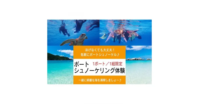 【ふるさと納税】ボートシュノーケリング体験 1ボート（1組限定）