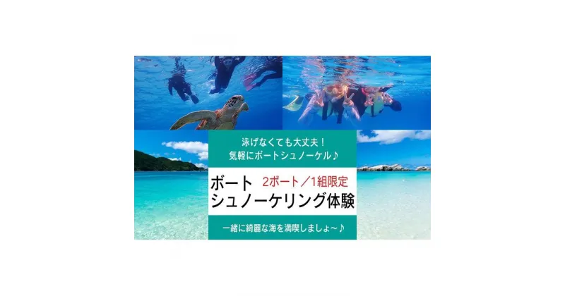 【ふるさと納税】ボートシュノーケリング体験 2ボート（1組限定）