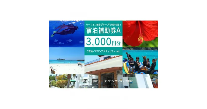 【ふるさと納税】旅行 宿泊利用券 民宿 リーフイン国吉（渡嘉敷島・3,000円分）