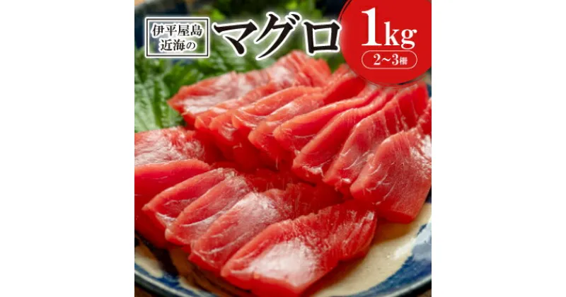 【ふるさと納税】伊平屋島近海のマグロ1kg(マイナス60℃急速冷凍)【配送不可地域：離島】【1497092】