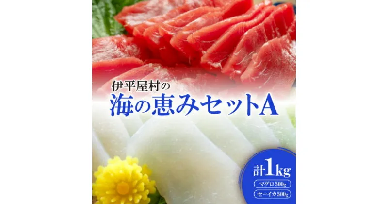 【ふるさと納税】伊平屋村の海の恵みセットA(マグロ500g、セーイカ500g)【配送不可地域：離島】【1497113】