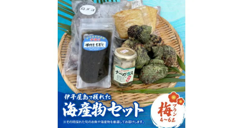 【ふるさと納税】伊平屋島で獲れた海産物セット 梅プラン(4～6品)【配送不可地域：離島】【1518216】