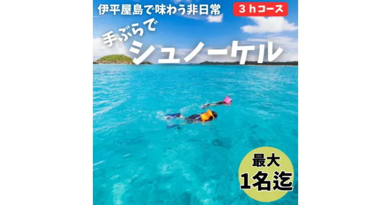 【ふるさと納税】【貸し切りプラン】手ぶらでシュノーケル(1名様/3時間コース)【1523910】