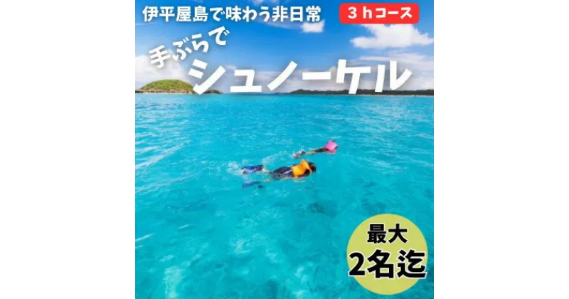 【ふるさと納税】【貸し切りプラン】手ぶらでシュノーケル(2名様/3時間コース)【1523911】