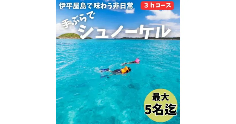 【ふるさと納税】【貸し切りプラン】手ぶらでシュノーケル(3～5名様/3時間コース)【1523912】