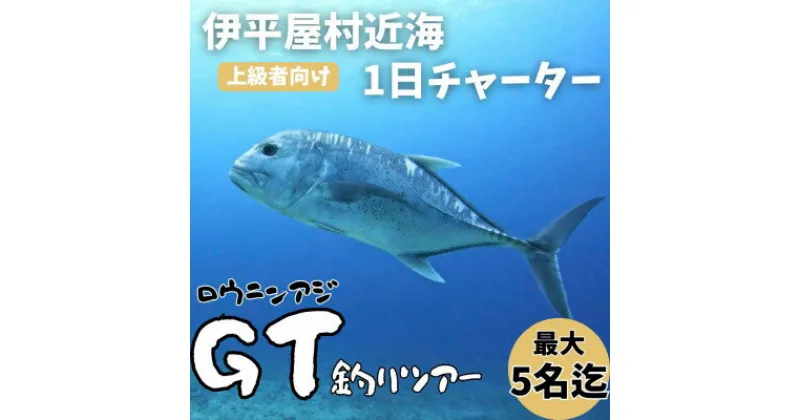 【ふるさと納税】【貸し切りプラン】沖釣りチャーター 上級者向け1日プラン(1～5名様)【1523917】