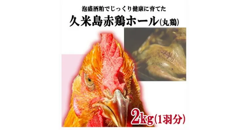 【ふるさと納税】島の泡盛酒粕でじっくり健康的に育てた 久米島赤鶏ホール(丸鶏) 2kg(1羽分)