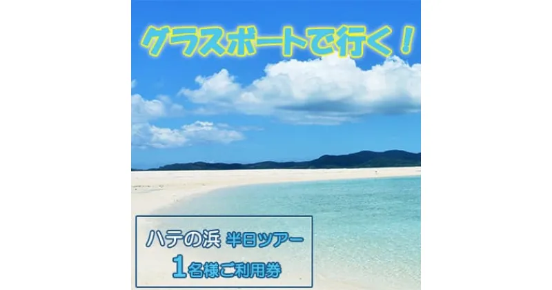 【ふるさと納税】グラスボートで行く！はての浜　半日ツアー　1名様ご利用券