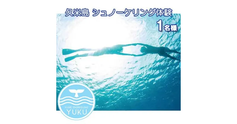 【ふるさと納税】【久米島】シュノーケリング体験 1名様（ビーチエントリー）