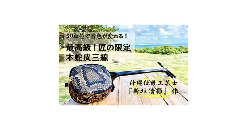 【ふるさと納税】最高級！沖縄伝統工芸士『新垣清昴』作・ミリ単位で音色が変わる、匠の限定三線