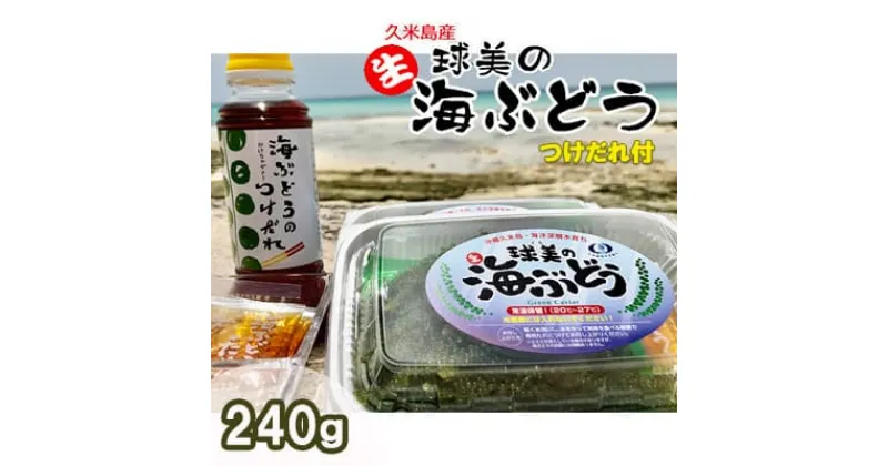 【ふるさと納税】球美の”生”海ぶどう（80g×3個+つけだれ）