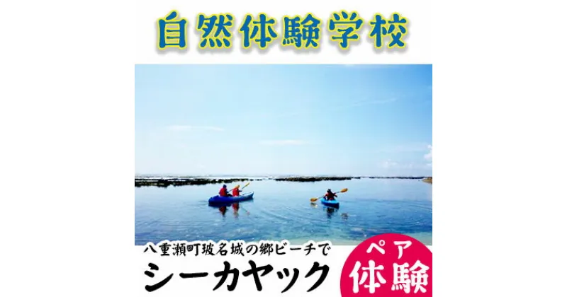 【ふるさと納税】「自然体験学校」八重瀬町玻名城の郷ビーチでシーカヤック体験（ペアチケット）