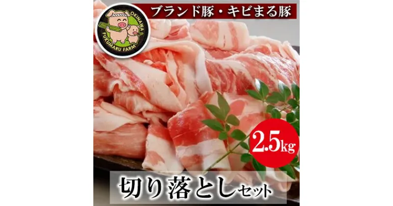 【ふるさと納税】【ブランド豚・キビまる豚】切り落とし　約2.5kg – 豚肉 小分け 500gずつ 部位混合 色々楽しめる 人気 しょうが焼き 肉じゃが 豚丼 豚キムチ 肉巻き アレンジ 色々 人気 ブランド豚 おすすめ 沖縄県 八重瀬町【価格改定】