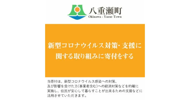 【ふるさと納税】新型コロナウイルス対策・支援に関する取り組みに寄付をする（1万円）