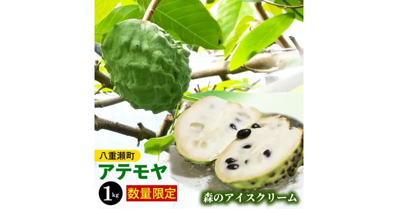 【ふるさと納税】【先行受付・数量限定】森のアイスクリーム アテモヤ 1kg (沖縄県八重瀬町産)