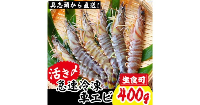 【ふるさと納税】【訳アリ】活き〆急速冷凍車エビ（生食可・約400g）【先行受付】- 2024年11月から順次発送 海老 車えび 車海老 冷凍 生エビ 国産 養殖 えび天 エビフライ 塩焼き 人気 沖縄県 八重瀬町