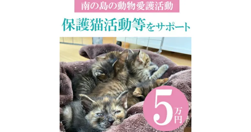 【ふるさと納税】【南の島の動物愛護活動】保護猫活動等をサポート（5万円）- ねこ ネコ 地域猫 保護活動 支援 応援 さくらねこ 動物愛護 保護 里親 寄附のみ 沖縄県 八重瀬町