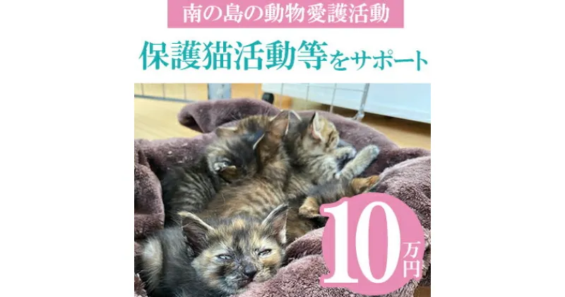 【ふるさと納税】【南の島の動物愛護活動】保護猫活動等をサポート（10万円）- ねこ ネコ 地域猫 保護活動 支援 応援 さくらねこ 動物愛護 保護 里親 寄附のみ 沖縄県 八重瀬町