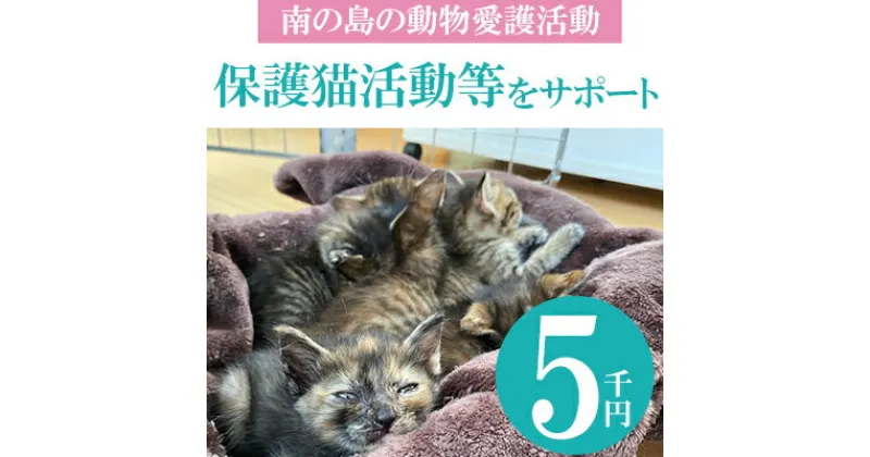 【ふるさと納税】【南の島の動物愛護活動】保護猫活動等をサポート（5千円）- ねこ ネコ 地域猫 保護活動 支援 応援 さくらねこ 動物愛護 保護 里親 寄附のみ 沖縄県 八重瀬町