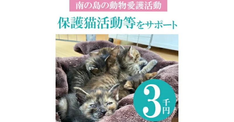 【ふるさと納税】【南の島の動物愛護活動】保護猫活動等をサポート（3千円）- ねこ ネコ 地域猫 保護活動 支援 応援 さくらねこ 動物愛護 保護 里親 寄附のみ 沖縄県 八重瀬町