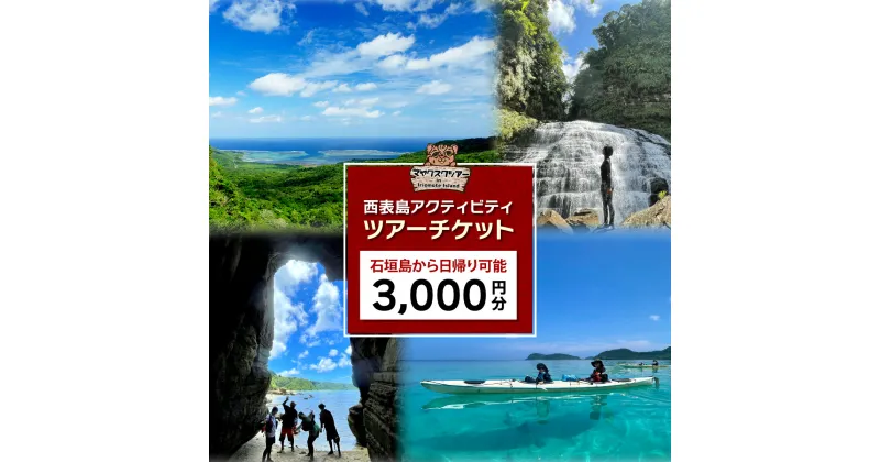 【ふるさと納税】旅行券 沖縄 チケット 西表島 アクティビティ ツアーチケット 3,000円 旅行クーポン 旅行 体験 観光 クーポン 【 竹富町 】