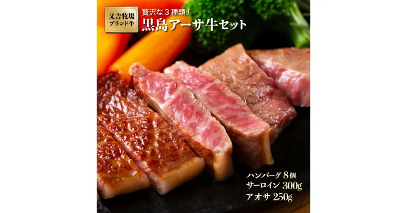 【ふるさと納税】ハンバーグ 牛肉 黒島 アーサ牛 150g×8個 サーロイン 150g×2 アーサ 250g セット【 お肉 ハンバーグ 黒島アーサ牛 牛肉 サーロイン 】