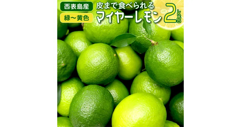 【ふるさと納税】【2024年発送】まろやか多汁マイヤーレモン （島レモン）約2kg 【 果物類 柑橘類 レモン 檸檬 マイヤーレモン 】 お届け：2024年8月1日～2024年12月25日