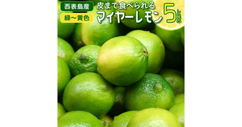 【ふるさと納税】果汁たっぷり マイヤーレモン（島レモン）約5kg 【 果物類 柑橘類 丸い 果皮 薄い 酸味 まろやか 香り 果汁 貴重 皮ごと 薄く サラダ はちみつ 】 お届け：2024年8月1日～2024年12月25日